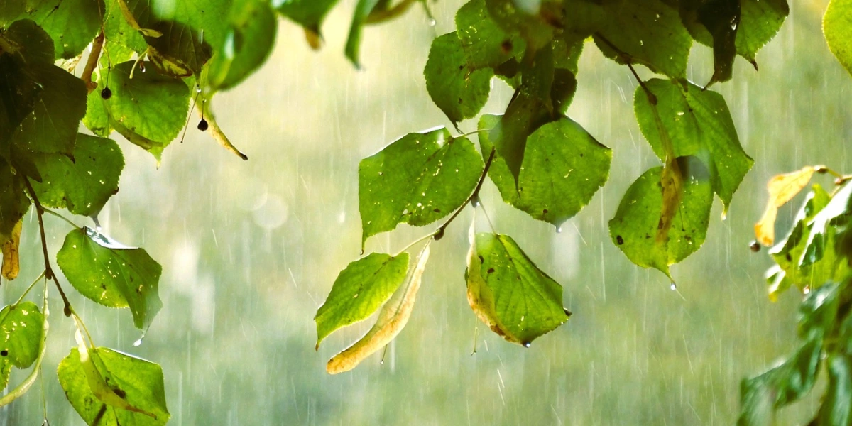 Danni causati da infiltrazioni o allagamenti in casa